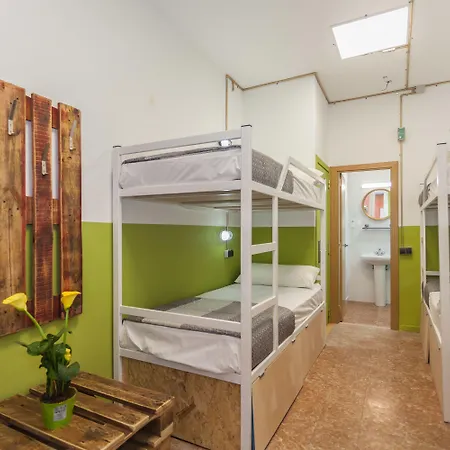 Loft Group *
