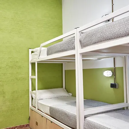 Loft Group *
