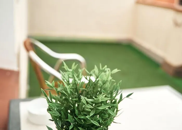 Vandrerhjem Loft Group Lloret de Mar